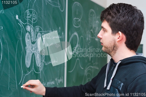 Image of Young student showing spinal chord on green chalk board