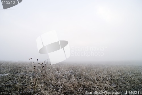 Image of Prairie Fog