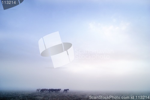 Image of Prairie Horses