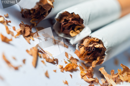 Image of Broken cigarettes isolated on white background