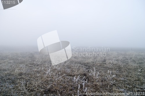 Image of Prairie Fog