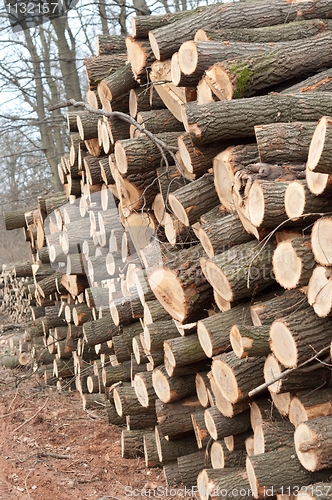 Image of A stack of wooden logs