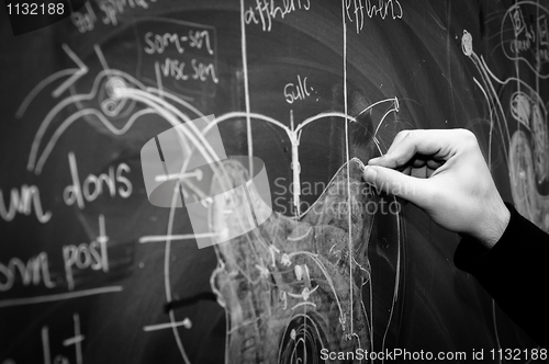Image of Young student showing spinal chord on green chalk board