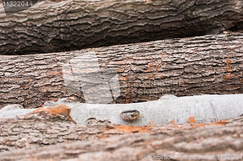 Image of Logs of wood piled up