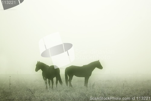 Image of Prairie Horses