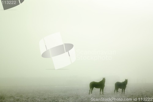 Image of Prairie Horses