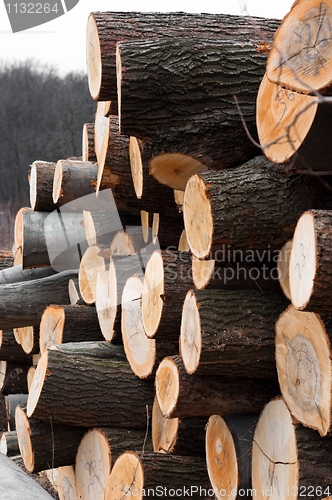 Image of Piled up wooden logs