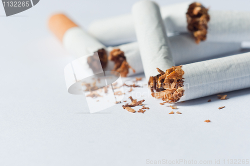 Image of Broken cigarettes isolated on white background