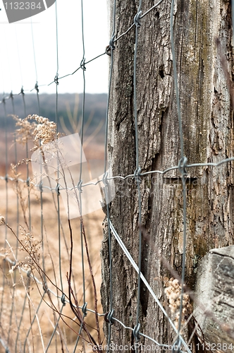 Image of Fence with dead plants against blurry background