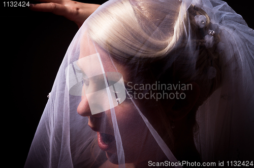 Image of Surprised bride in veil