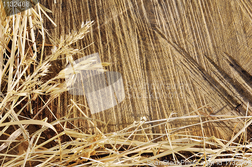 Image of Detail of wooden cut texture and dry grass hay - frame