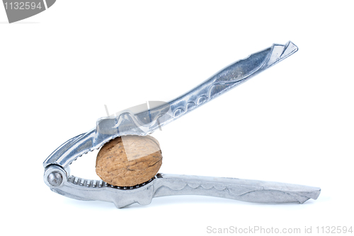 Image of Silver nutcracker and walnut