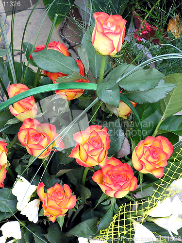 Image of Rose bouquet
