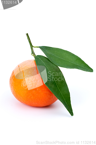 Image of Single mandarine with leaves