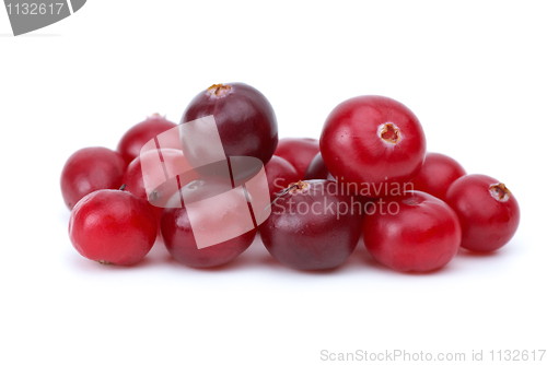 Image of Close-up shot of some cranberries