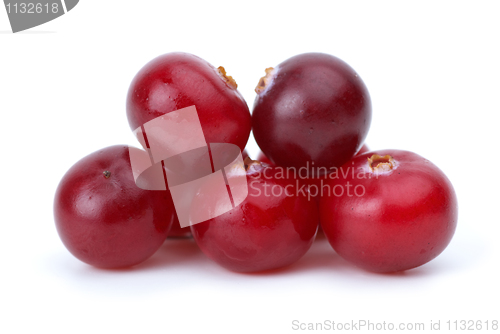 Image of Close-up shot of some cranberries