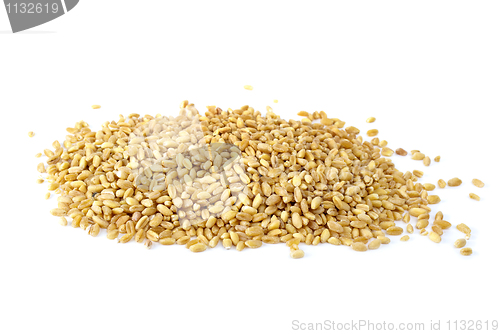 Image of Some barley grains