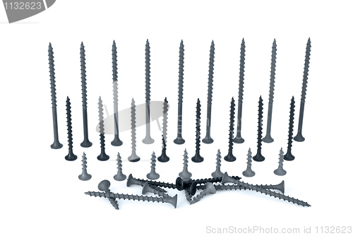 Image of Some different screws