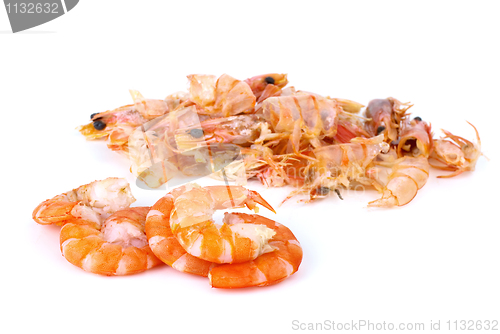 Image of Some shelled shrimps and shells