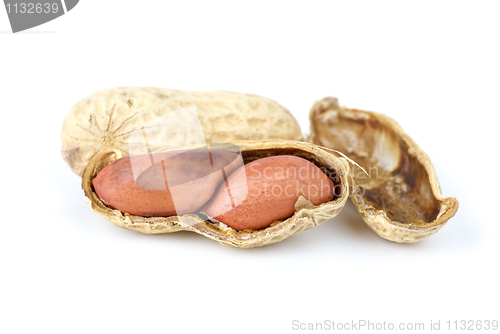 Image of Close-up shot of peanut