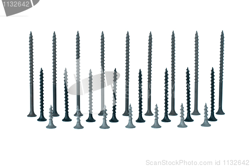 Image of Some standing different screws