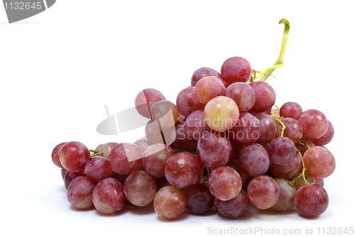 Image of Bunch of grapes ("Cardinal" breed)