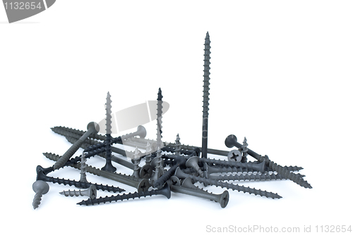 Image of Some standing and pile of different screws