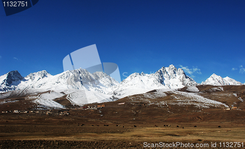 Image of Landscape in winter