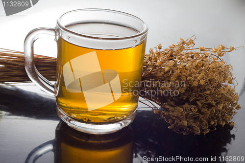 Image of bluebell  herbal   decoction