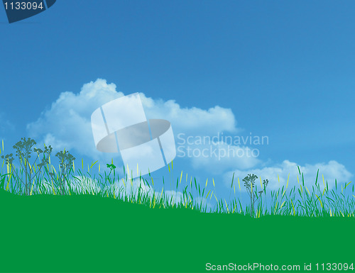 Image of Summer meadow