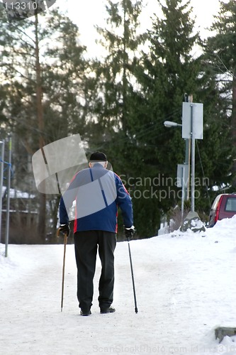Image of Winter Stroll