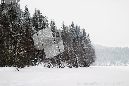 Image of Frozen Lake with Trees