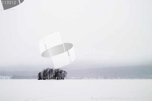 Image of Frozen Lake with Trees