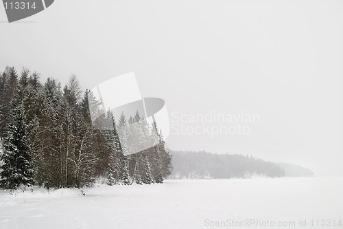 Image of Frozen Lake with Trees