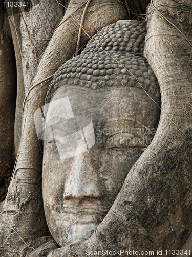 Image of Buddha head