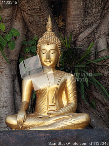 Image of Golden Buddha statue