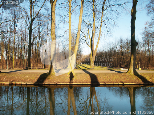 Image of Winter forest landscape