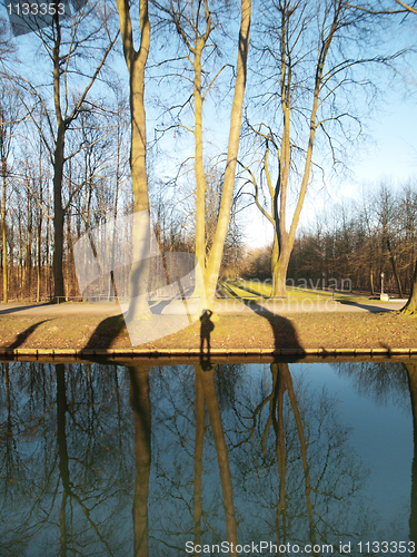 Image of Winter forest landscape