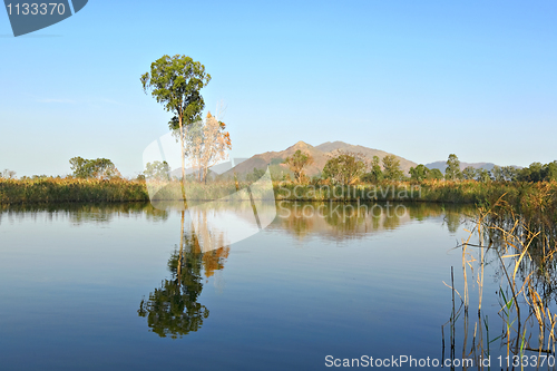 Image of lake with clear water and trees