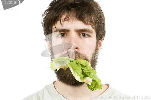 Image of Unimpressed with Salad