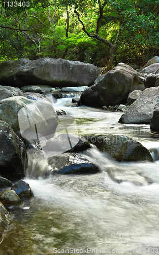 Image of water spring in forest