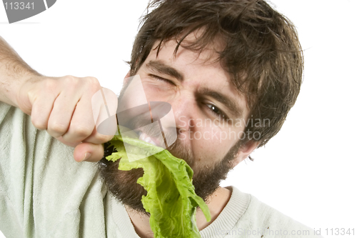 Image of Eager Salad Eater