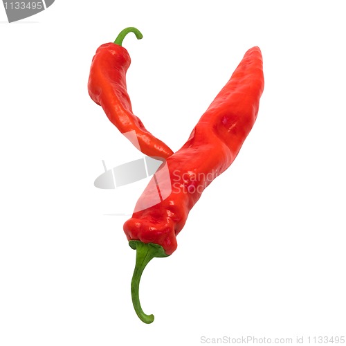 Image of Letter Y composed of chili peppers