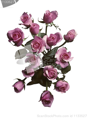 Image of Overhead view of a bouquet of pink roses