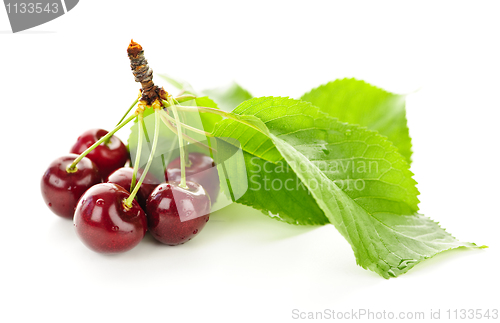 Image of Fresh cherries