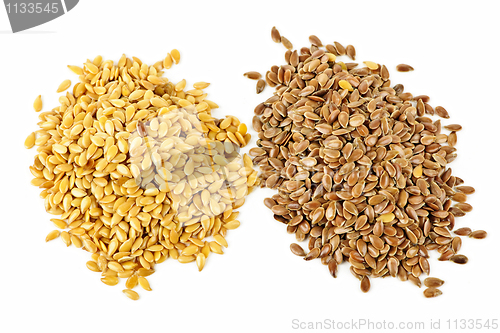 Image of Brown and golden flax seed