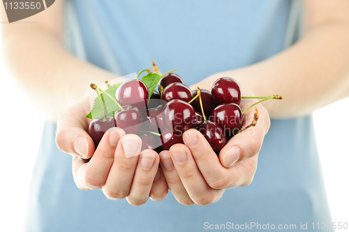 Image of Hands holding bunch of cherries