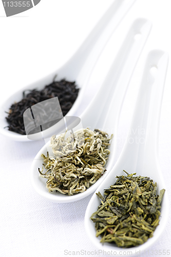 Image of Assortment of dry tea leaves in spoons