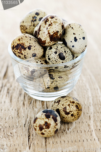 Image of Quail eggs