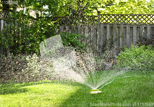 Image of Lawn sprinkler watering grass